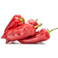 Red Kapia Pepper1kg