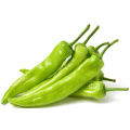 Peppers Green Sivria Price per KG