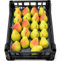 Fresh Pears – Box Approx 4kg Price per Box